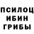 Псилоцибиновые грибы прущие грибы KyouKiSu